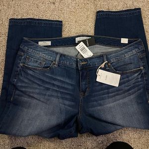 Torrid Jeans